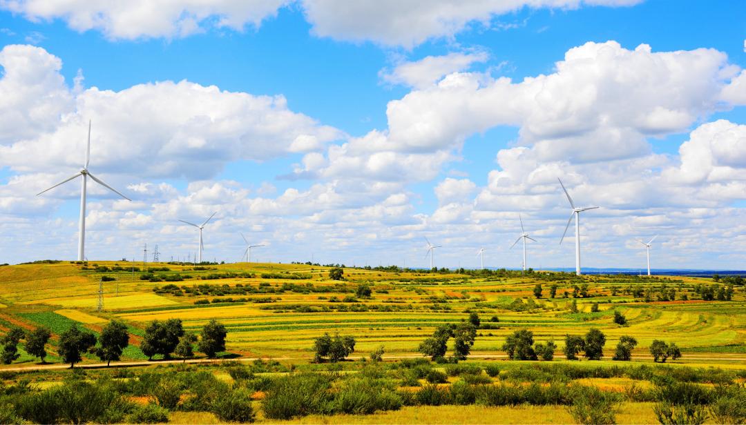 数字化引领企业转型升级,龙源电力唐坚是哪里人