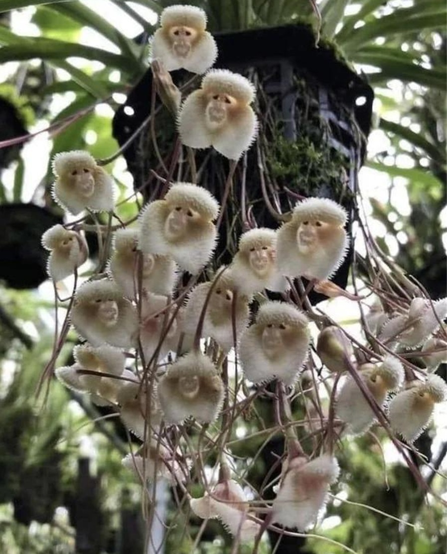 美国女人的收藏品，全美服装比赛上的佳丽，40张照片带你看全球