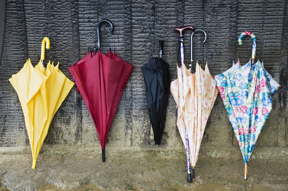 立夏至,跨境电商谷雨