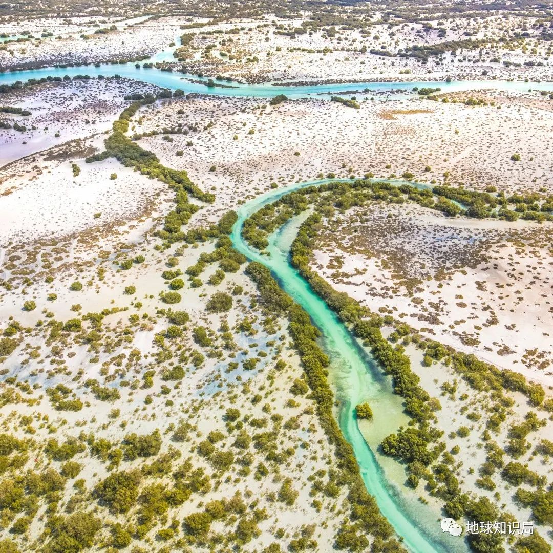 中东土豪的钱,中东土豪有多少资产