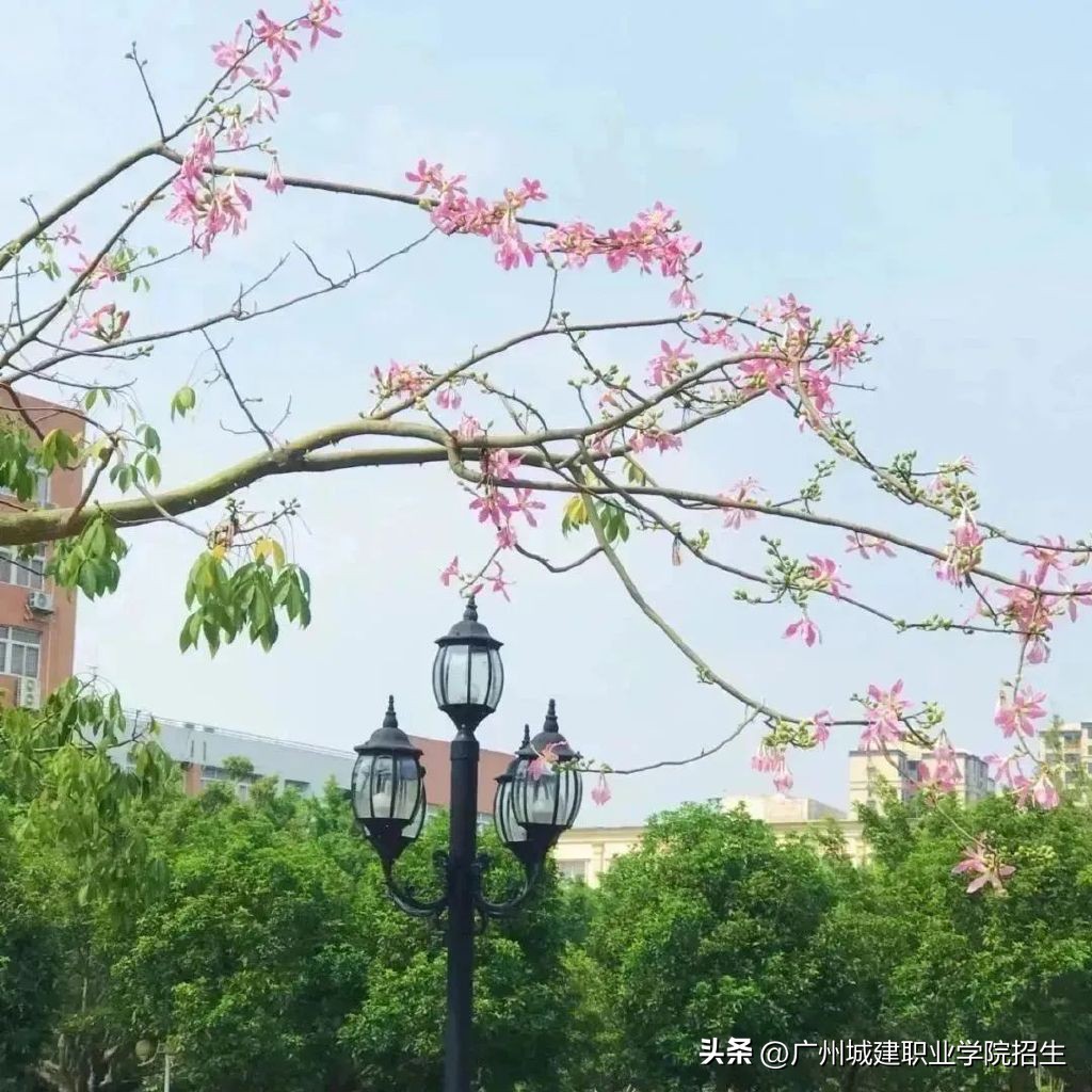 一篇校园推文,校园推文美篇