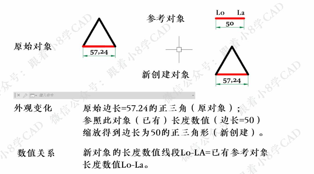 绮剧‘缂╂斁cad,鑷敱缂╂斁cad
