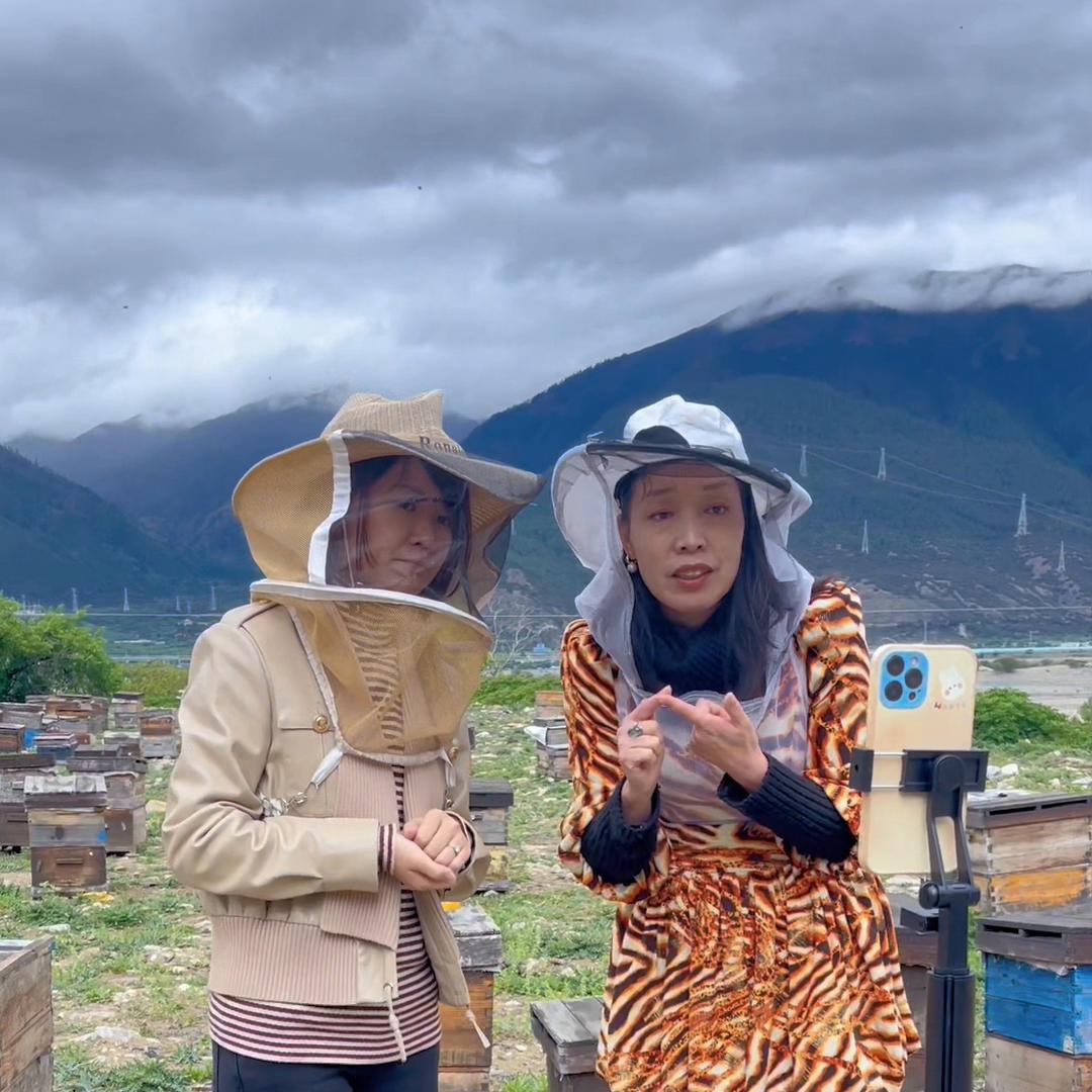 蜂蜜和益母草蜜哪个好喝,益母草蜂蜜的作用与功效图片