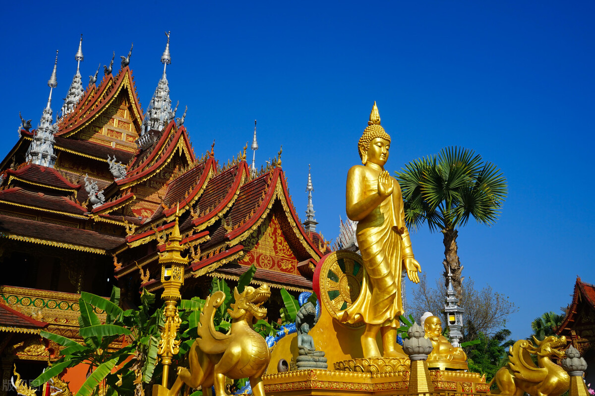 2022西双版纳门票免费的景区,西双版纳望天树景区与热带植物园