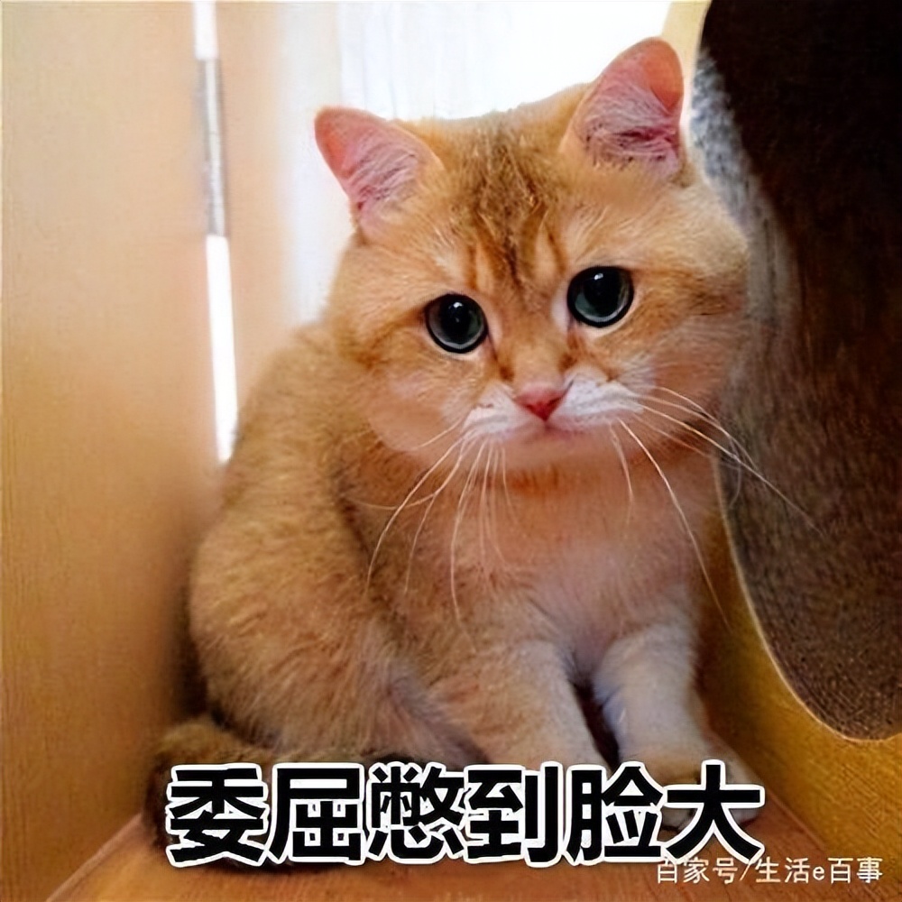 必买的十支大牌口红国货,价格贵的口红与便宜的口红