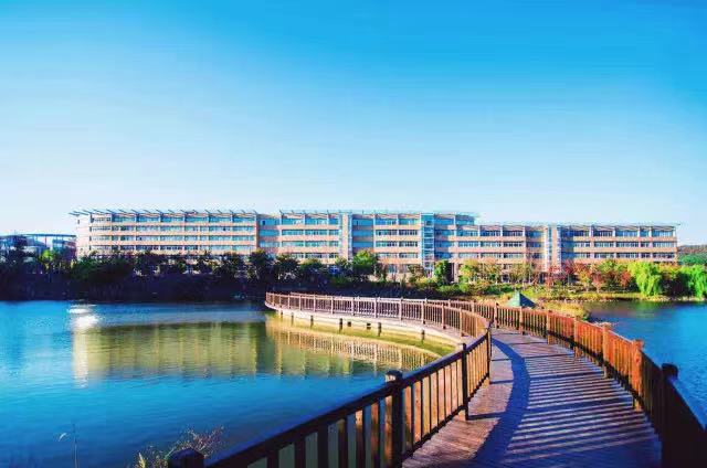 大连外国语大学毕业生就业率,大连外国语大学毕业生发展如何