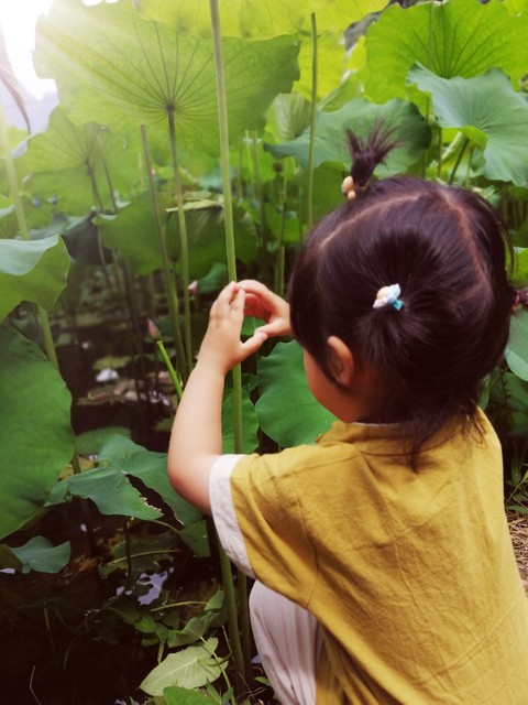 什么是爱情当代大学生的爱情观,大学不同时期的爱情观