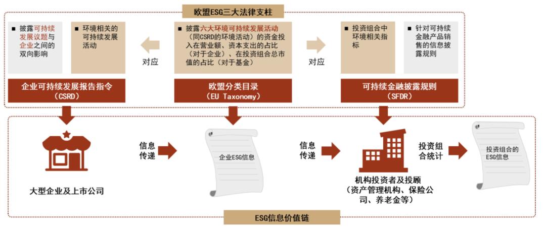 涓噾ibd缁勭粐璋冩暣,涓噾esg閮ㄩ棬
