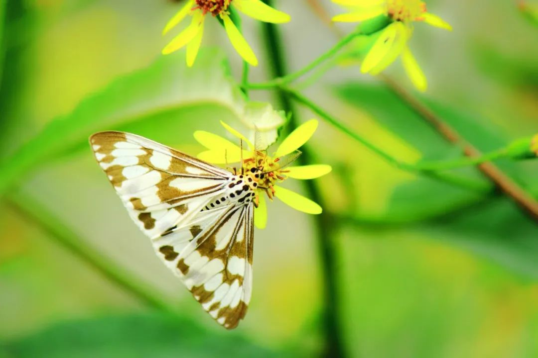 九首宋词尽显宋词千年之美,90句绝美宋词写尽90种动人情思