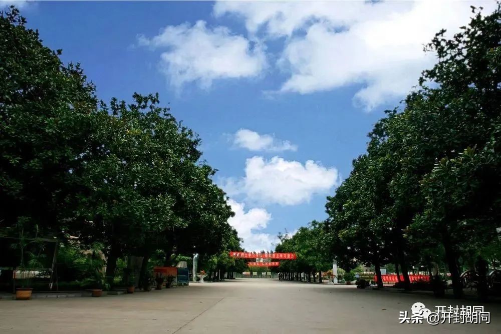 开封市第二十五中学在哪个区,开封市第二十五中学学费