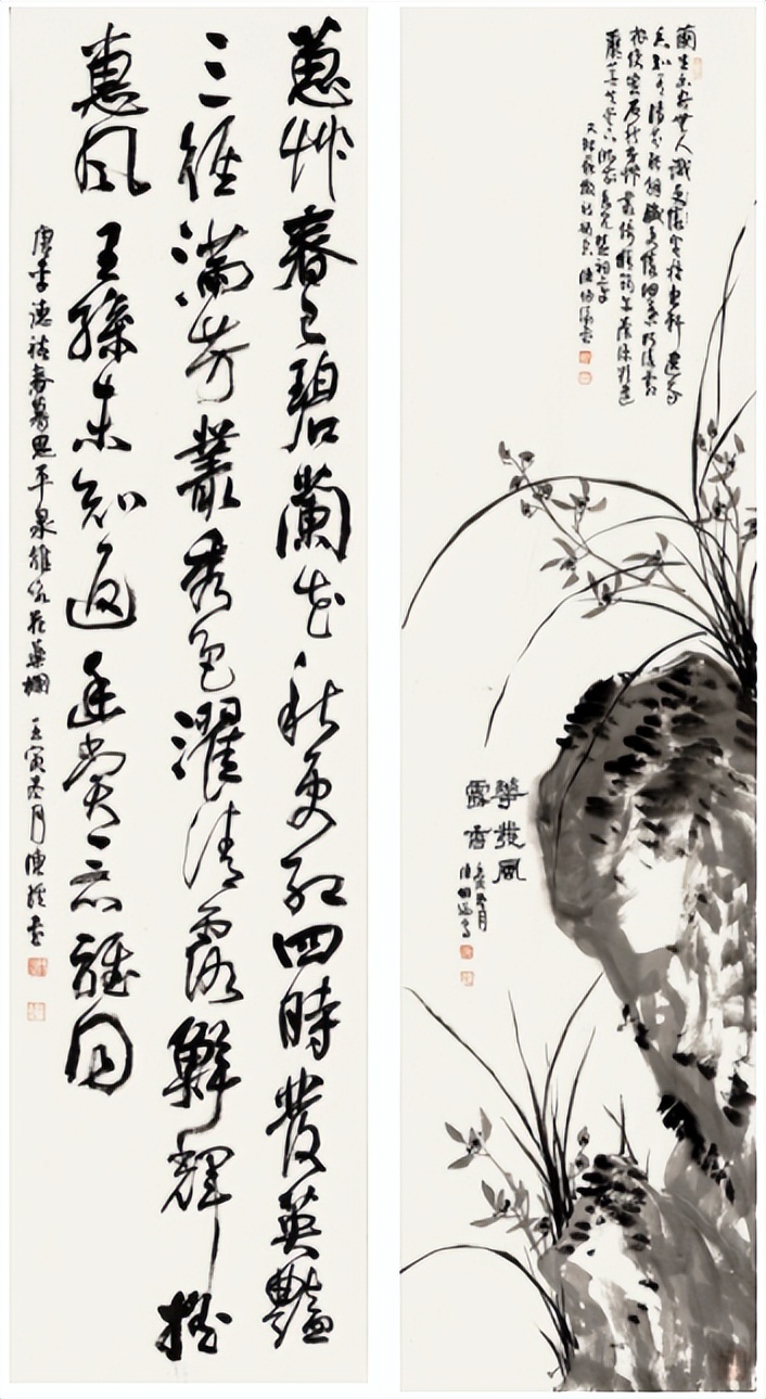 今年兰花展金奖,2020浙江兰花展