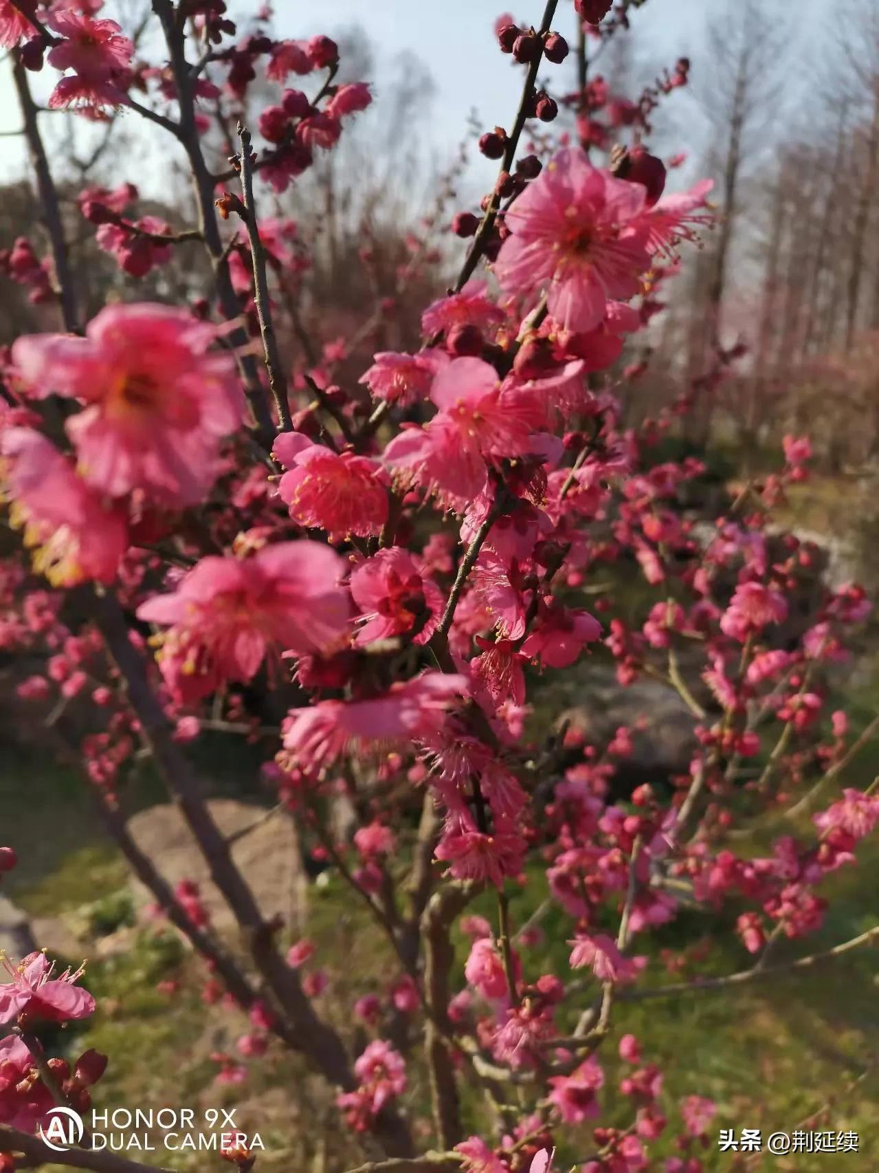 漫游黄山,漫游梅兰芳纪念馆