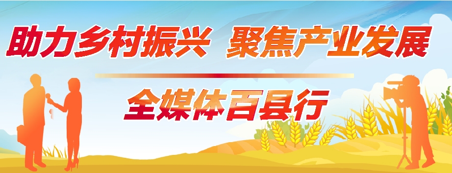 黑山羊产业发展带动乡村振兴,黑山羊带动乡村振兴