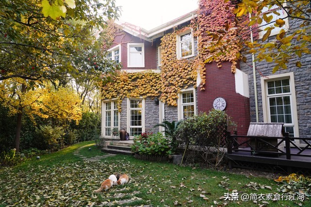 她做保姆这些年－豪门生活之来来去去（593）