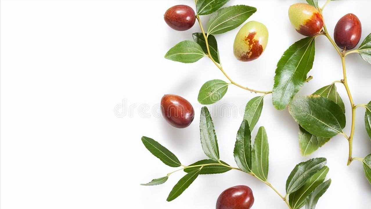 酸枣仁加柏子仁失眠的功效,张仲景的失眠名方酸枣仁汤