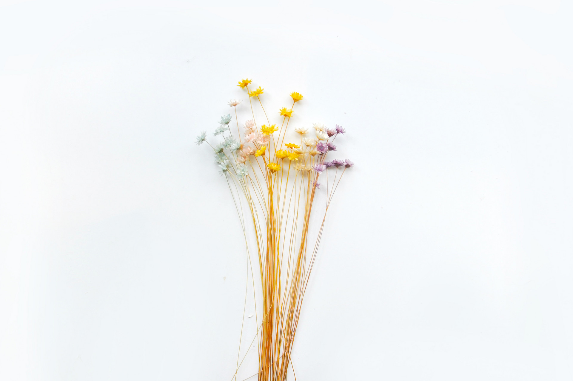 人到中年不要和兄弟姐妹走的太近,人到中年兄弟姐妹不宜多来往