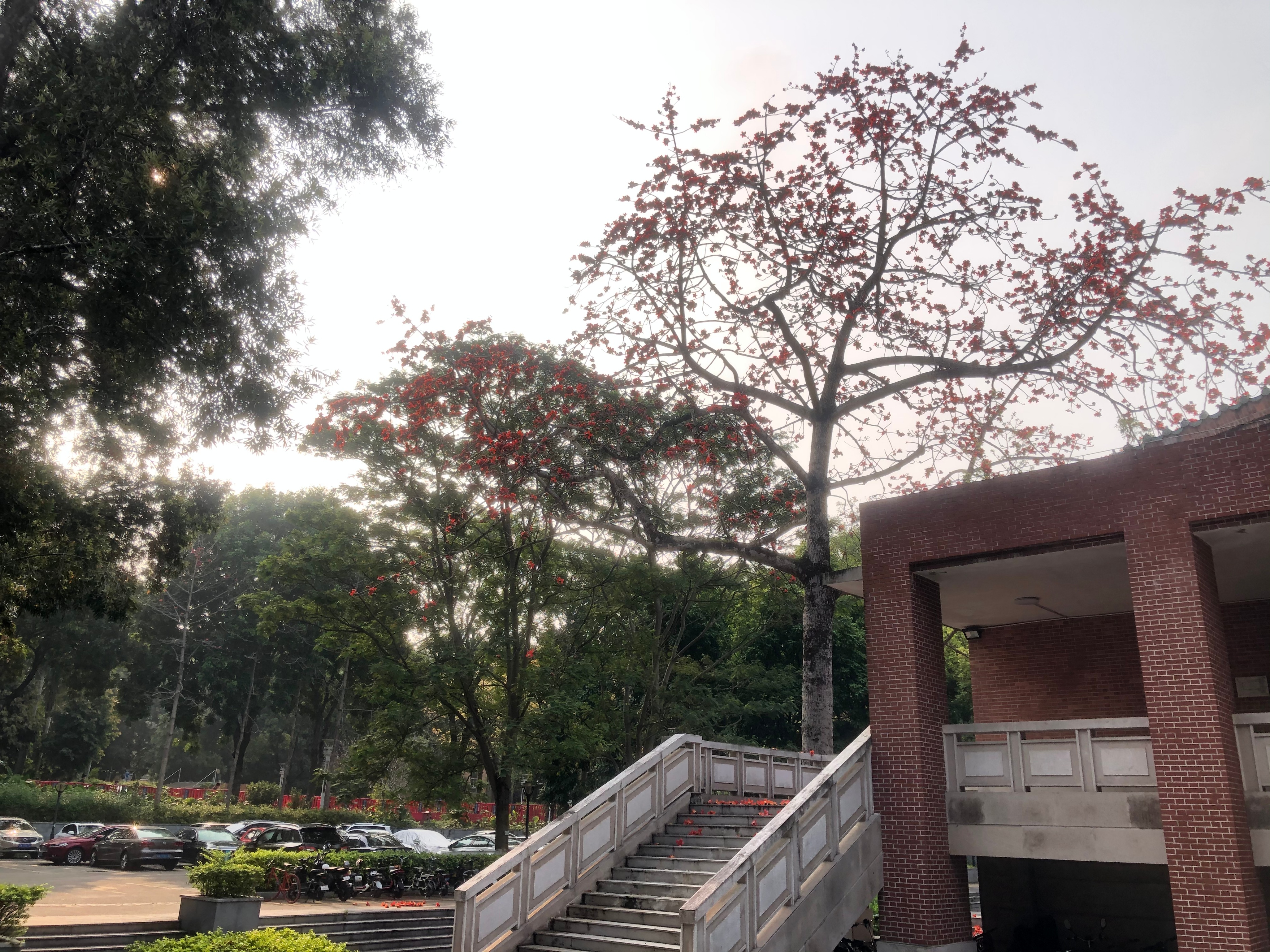 广州小城五山这个地方有多少个大学?