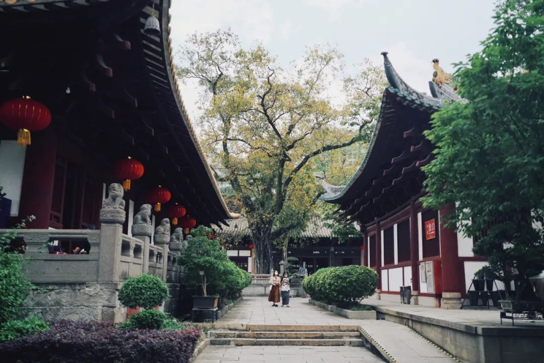 在广州逛遍全国,广州逛的街