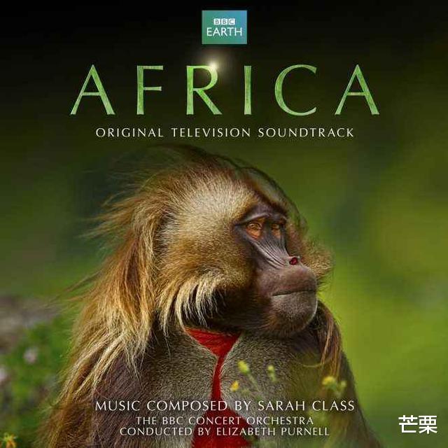 七部神级自然纪录片你看过几部,自然纪录片十大巅峰神作