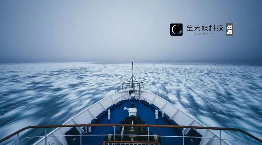 大厂排头兵,大厂顶流海王