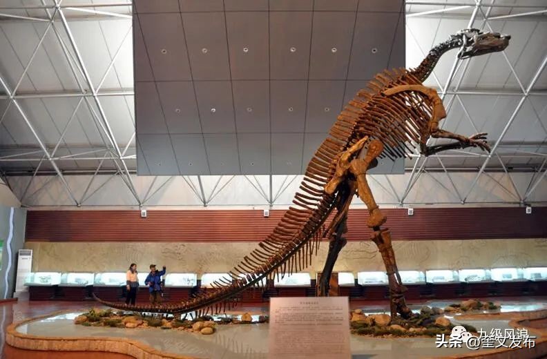 文化“两创”看潍坊|创新为翼“鸢都”展翅腾飞