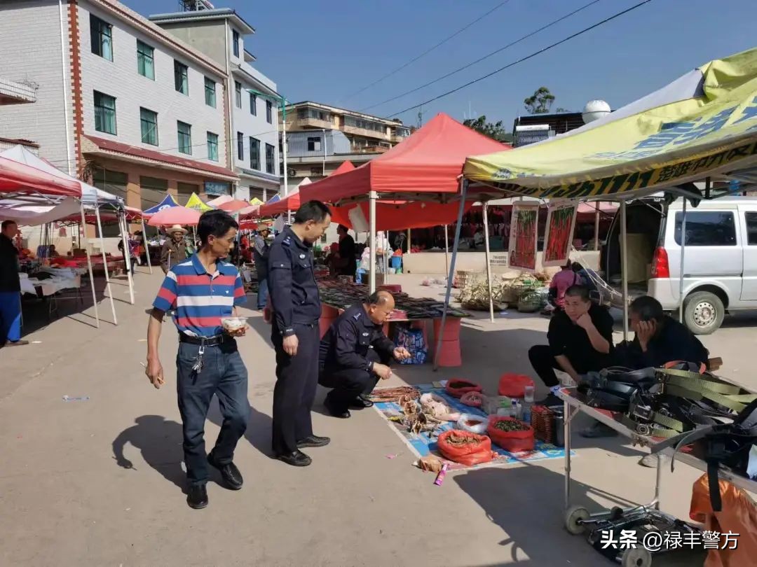 专项普法与基层社会治理,普法强基在行动图片