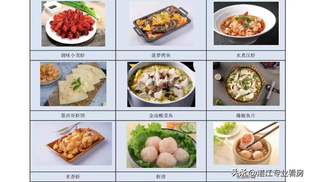 2024年湛江上市公司名单,湛江2024年上市公司