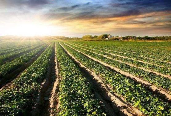 东北三省gdp出炉孰强孰弱,东北三省经济总量多少亿