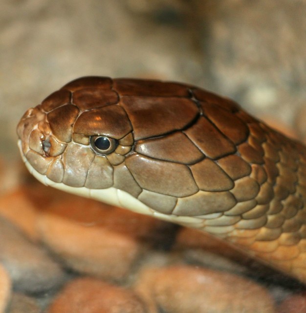 你相信这个世界上有鬼吗怎么回答,你相信这世上有鬼吗