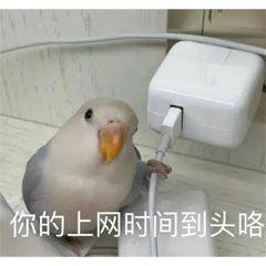 2022年度十大网络热梗,近期火遍全网的网络热梗