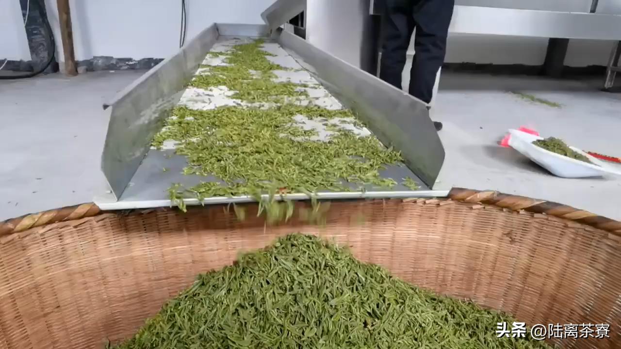 普洱茶杀青的详细介绍,普洱茶之鲜叶篇