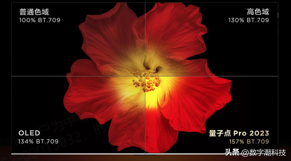 今年618买哪款电视好,2023年55寸电视哪款值得买