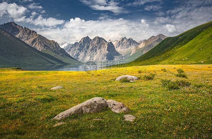 崔纪松练习视频,崔纪松画家