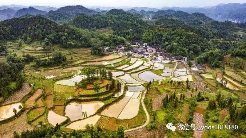 小小足球梦想,小足球大梦想