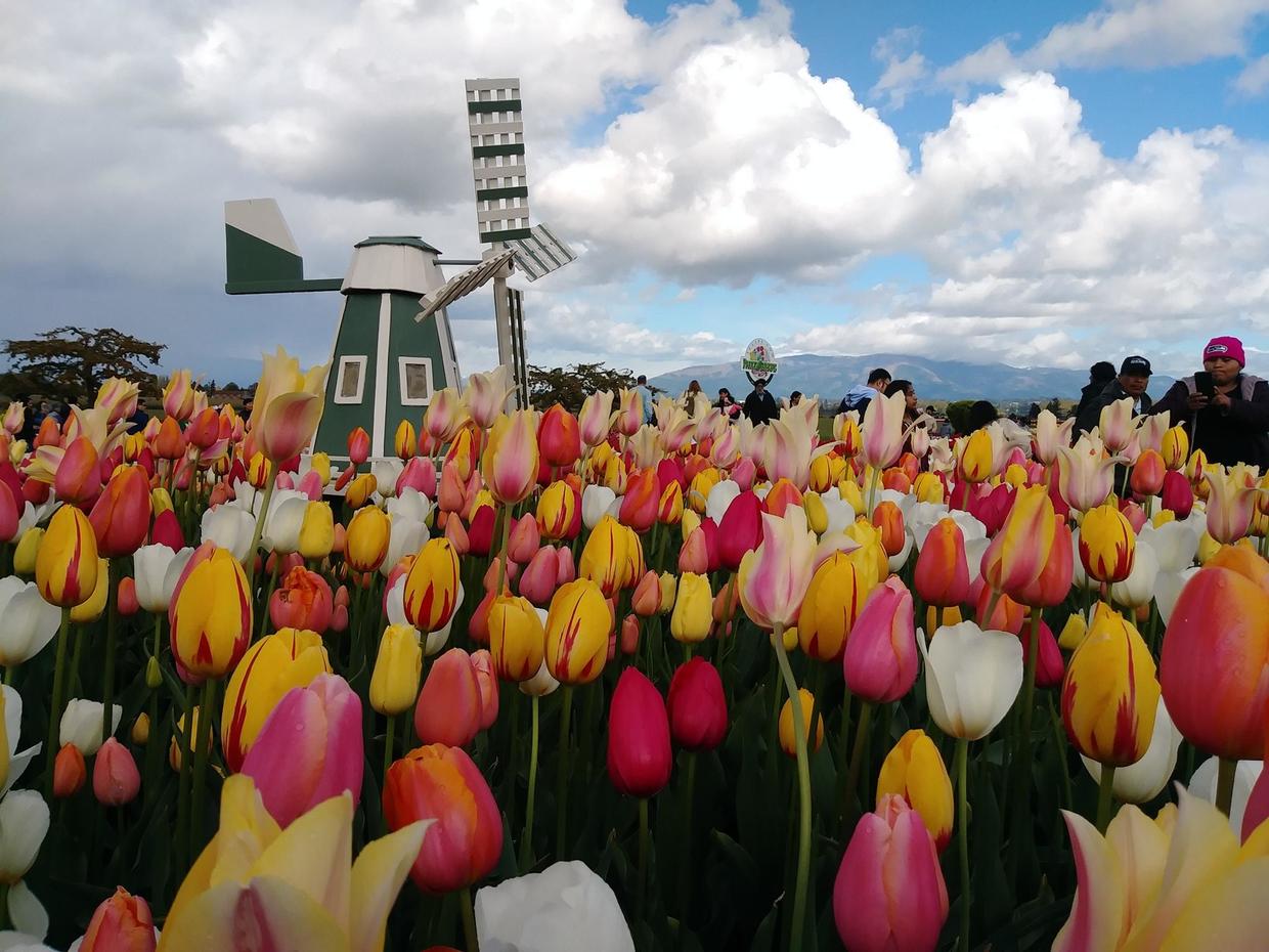 美国50岁夫妇辞职卖光家产，退休爽住游轮：比房贷便宜多了