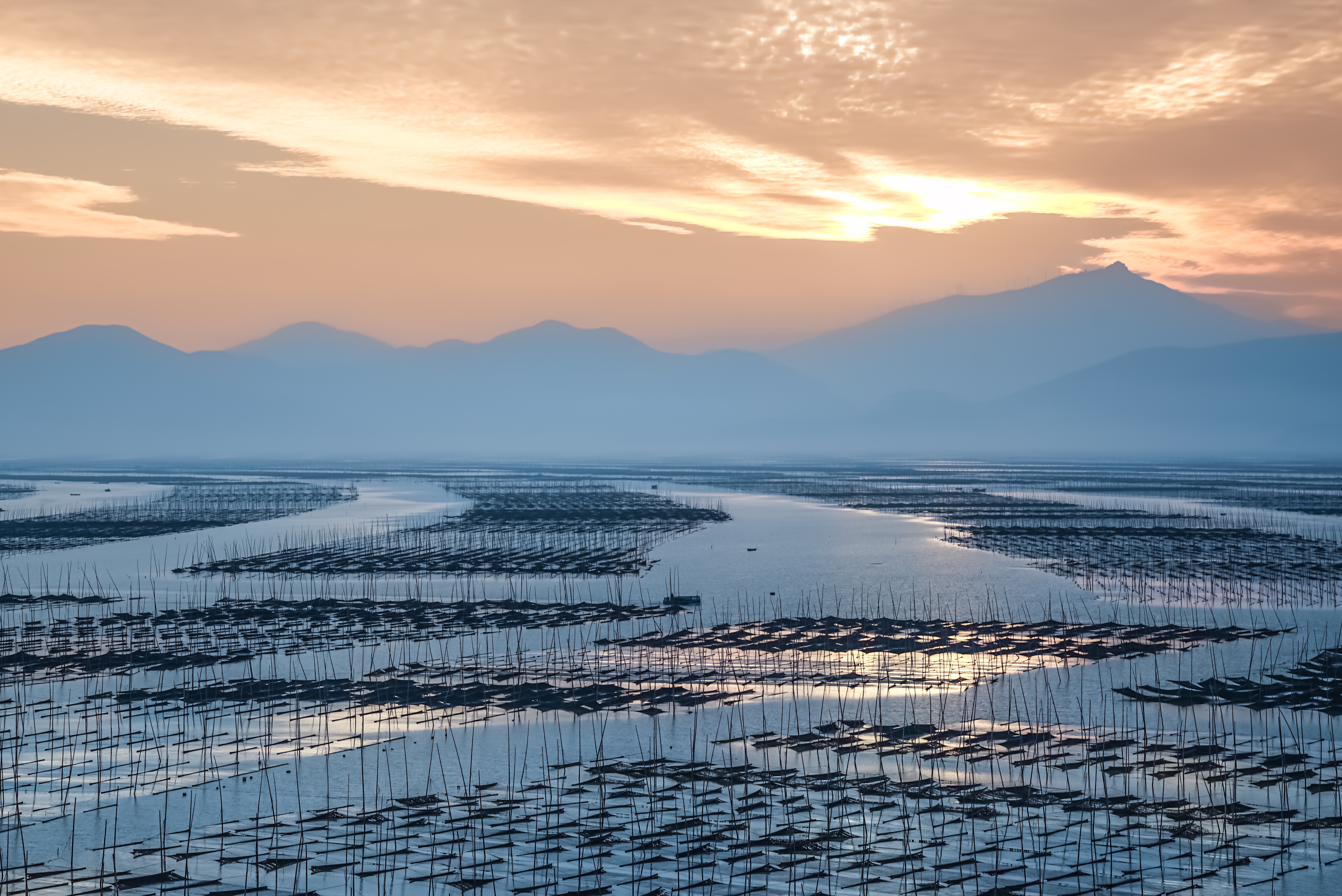 我的家乡温州市,我的家乡温州苍南