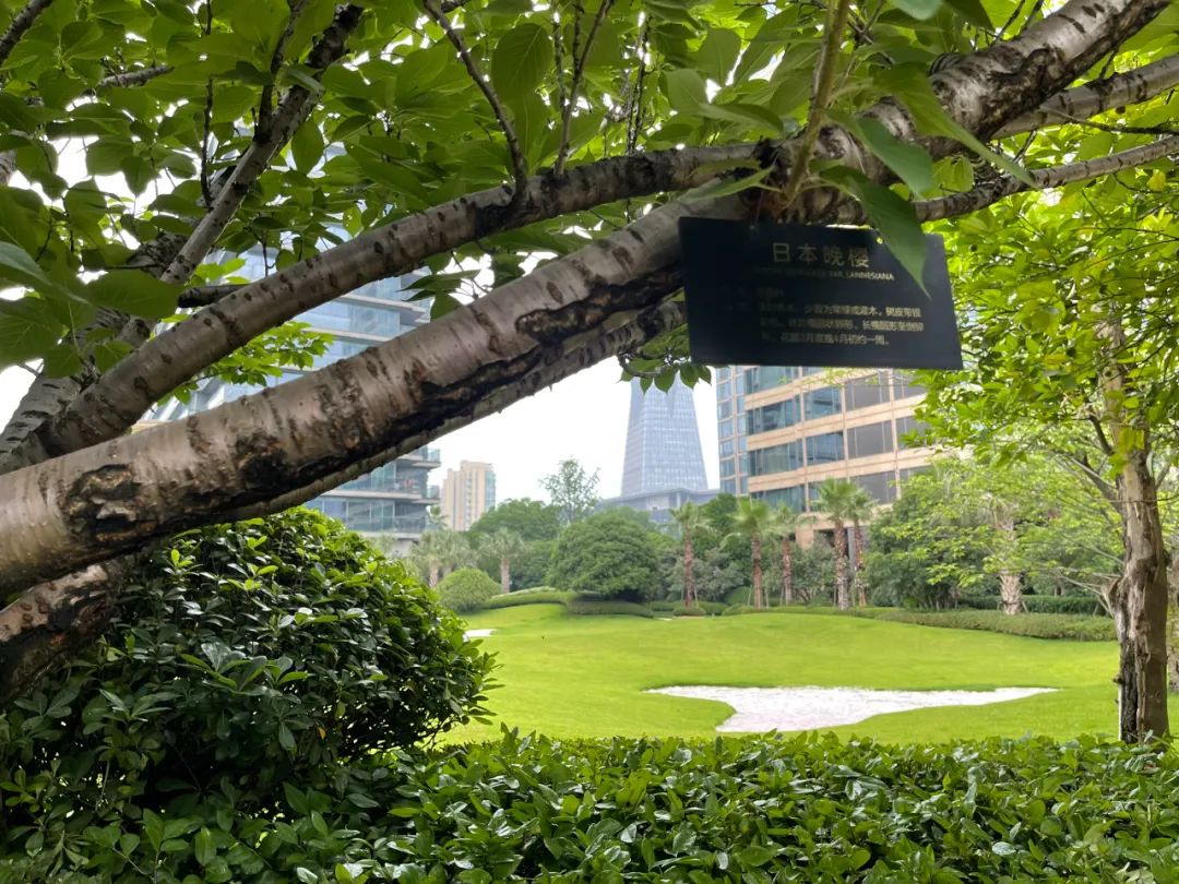 相爱相杀樱木流川枫,相爱相杀和相濡以沫