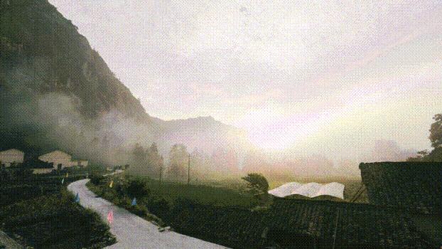 避暑游必去的地方,避暑推荐旅游攻略