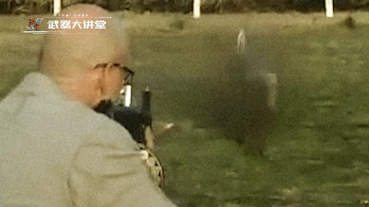 外号推土机的散弹枪,半自动霰弹枪aa12推土机