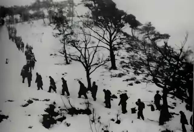 志愿军缴获王牌部队,志愿军缴获了大量毛毯