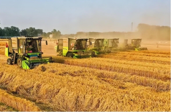 为什么河南发货的白酒很便宜,网购白酒河南发货