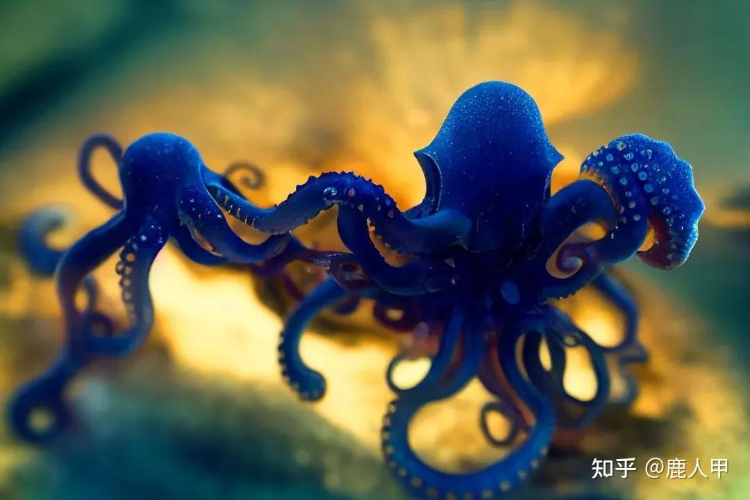 显示器的色域亮度密度,显示器的色域值用什么软件测