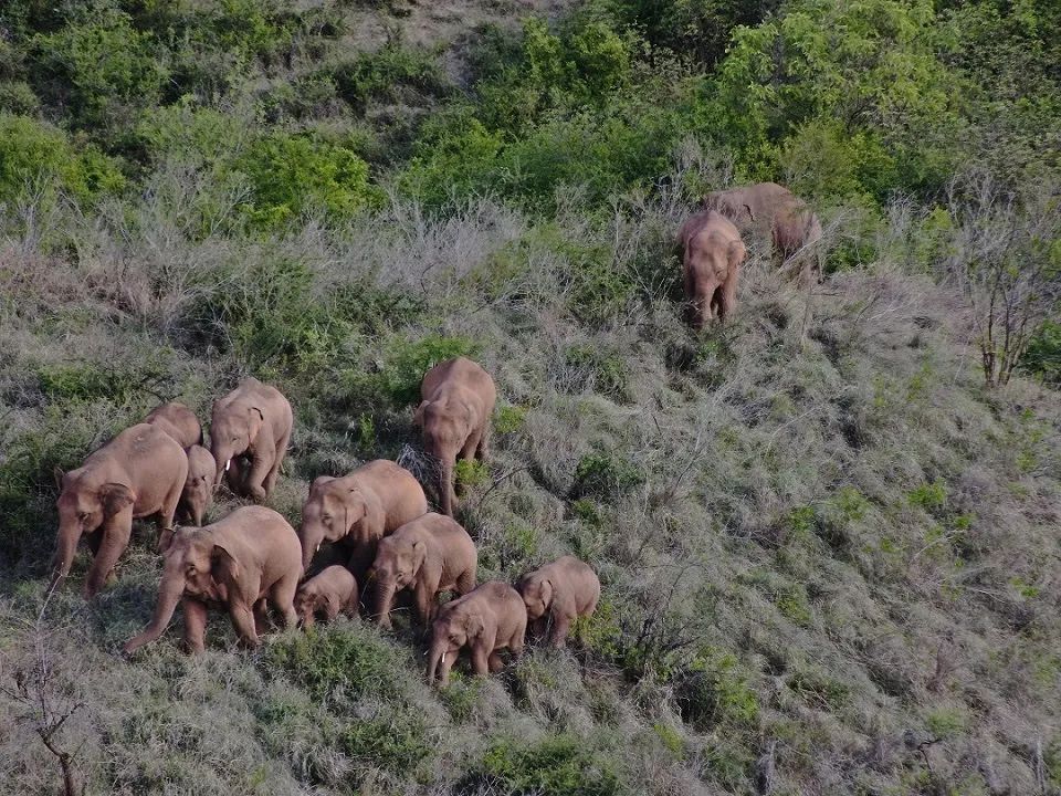 有一种叫云南的生活,有一种生活叫云南的生活