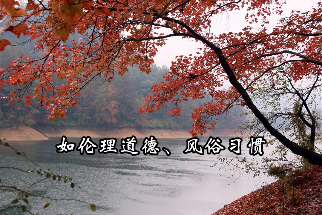 【法律知识】引导思想与行为