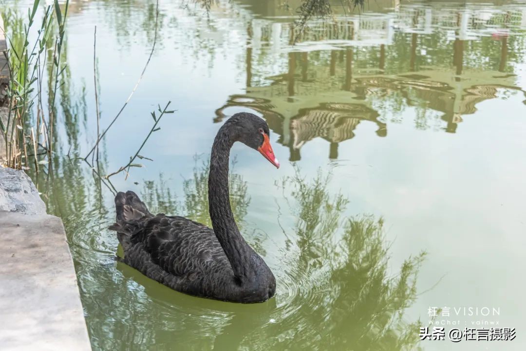 天津二宫开了吗,天津二宫改造后的景观