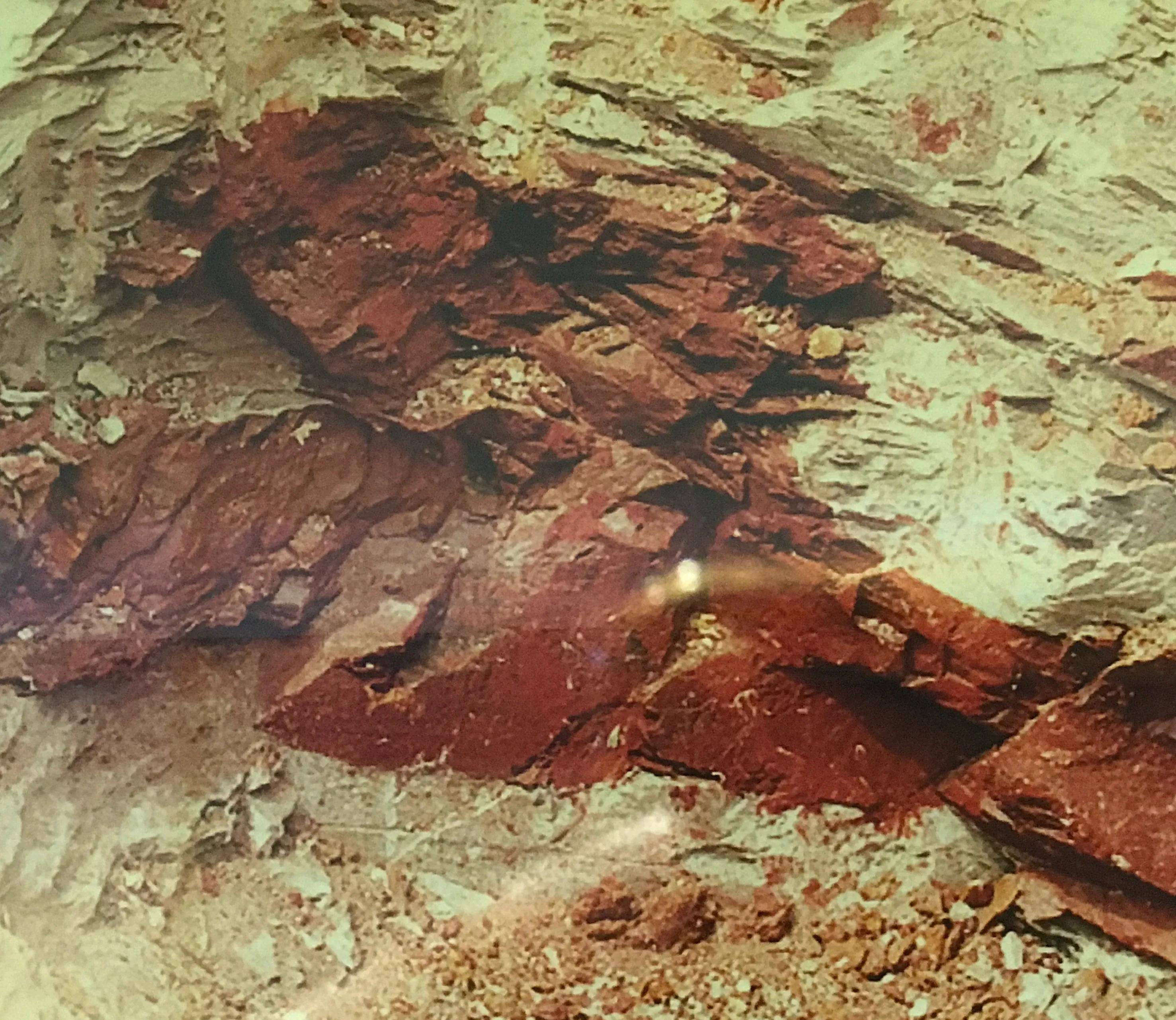 紫砂矿料的种类图片,紫砂中原矿料与清水料哪种好