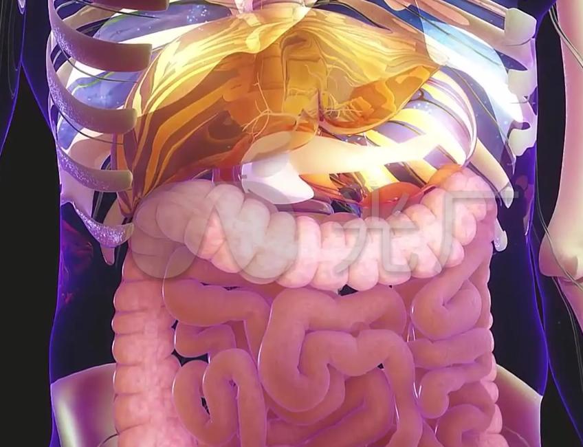 辛开苦降法的五大配方,辛开苦降寒热并调的代表方剂有