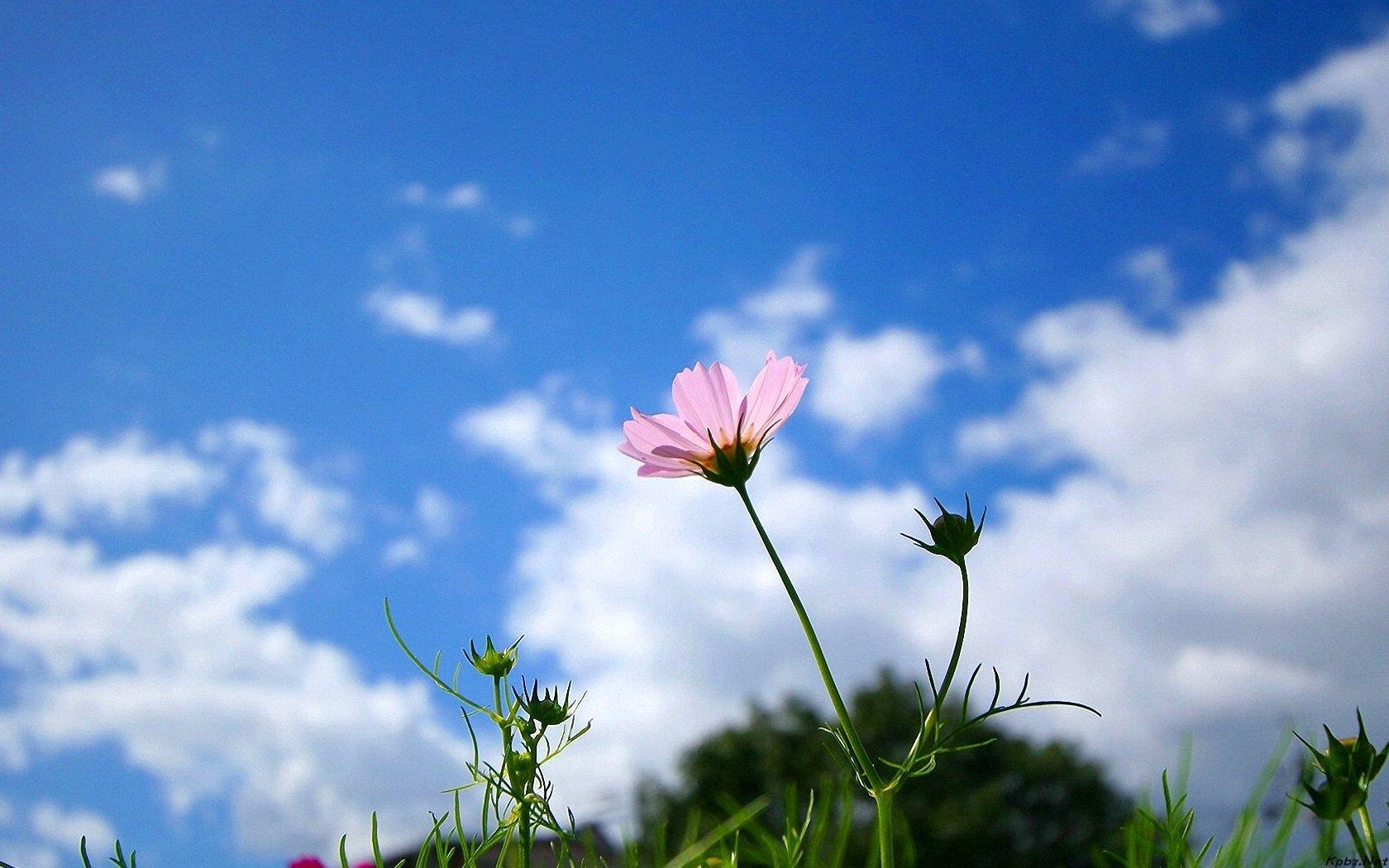 女生如果暗恋你会说什么话,女人暗恋你她会对你说六句话