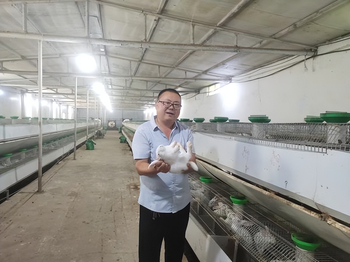 河南地区种养结合循环农业,河南宝丰一乡一业打造精品农业