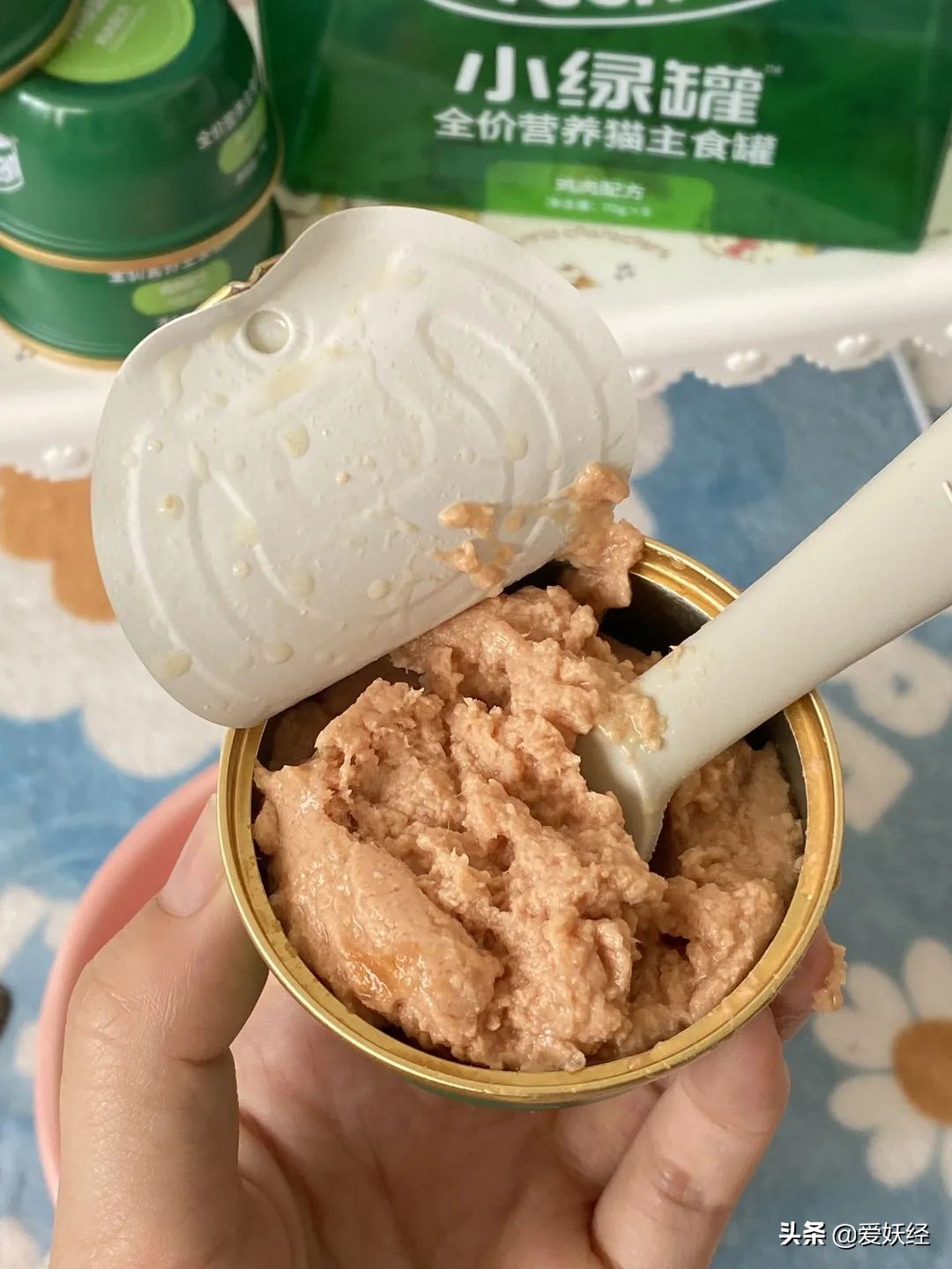 红狗小绿罐怎么样,月销量1000算不算冷门车